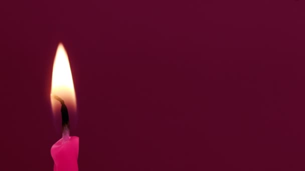 Velas de aniversário extremo de perto, macro extrema. Fundo roxo escuro. — Vídeo de Stock