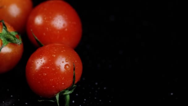 Tomates cherry frescos sobre un fondo negro con gotas de agua de cerca. Rotación. Espacio para texto — Vídeos de Stock