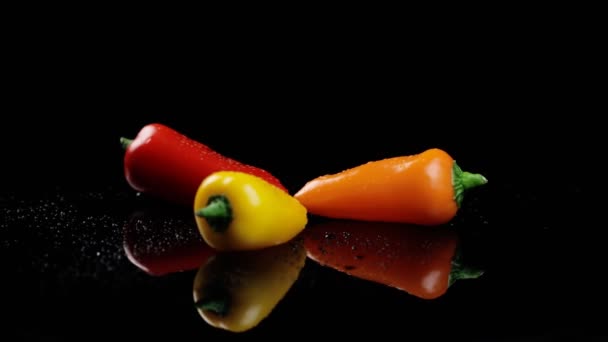 Sárga narancs és piros paprika édes friss élénk színek vissza fekete háttér — Stock videók