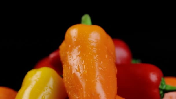 Lots of bell peppers, yellow, orange and red on a black background, with reflection and splashes of dew. — Stock Video