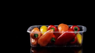 Taze dolmalık biberler renkli bir arka plan yaratıyor, telif hakkı için bir yer. Su sıçramalı siyah arkaplan.