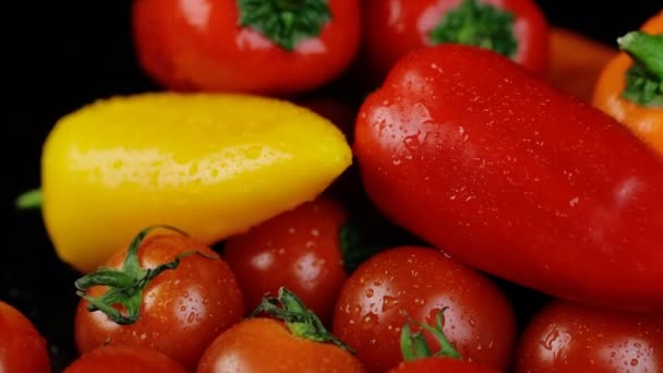 Een close-up macro plan draait. Gele oranje en rode paprika 's en tomaten zoete frisse heldere kleuren terug op zwarte achtergrond — Stockvideo