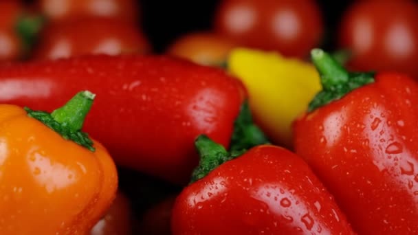Fresh small bell peppers create a colorful background, a place for copyright. Black background with water splashes. — Stock Video