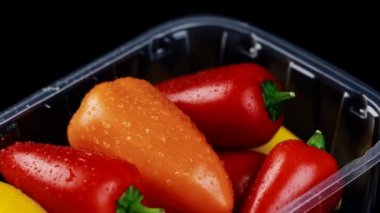 Taze dolmalık biberler renkli bir arka plan yaratıyor, telif hakkı için bir yer. Su sıçramalı siyah arkaplan.