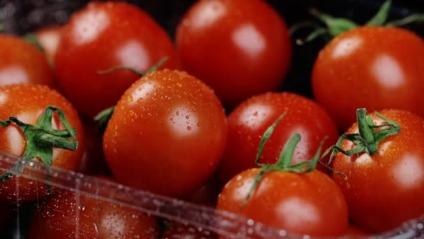 신선 한 버찌 토마토, 즉석에서의 건강 한 식사와 쇼핑에 대한 개념을 검정 색 배경으로 회전 시킴 — 비디오