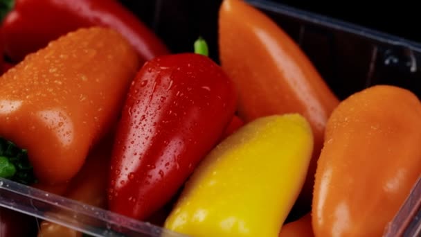 Frisch saftig mit Tautropfen bulgarische bunte Paprika wirbeln auf schwarzem Hintergrund — Stockvideo