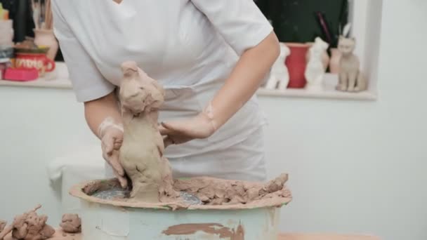 Woman working with clay with her hands. Pottery workshop. master class and training. — Stock Video