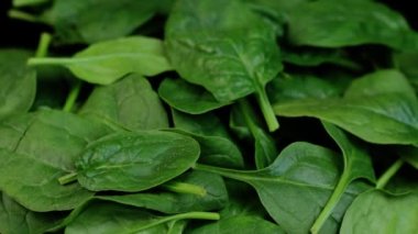 Siyah arka planda dönen taze ıspanak. Makro videoyu kapat.