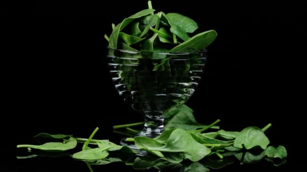Verse groene spinazie bladeren in een transparante plaat draaien op een zwarte achtergrond. — Stockvideo