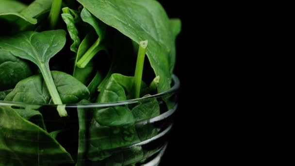 Свіже зелене листя шпинату в прозорій тарілці, що обертається на чорному тлі . — стокове відео