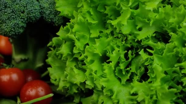 Fresh green salad, broccoli, tomatoes and other vegetables rotating on a checkered background. — Αρχείο Βίντεο