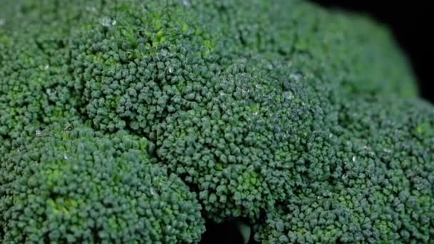 Frischer grüner Brokkoli rotiert auf schwarzem Hintergrund. Einkaufen, gesundes Essen. — Stockvideo