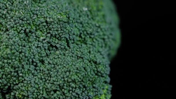 Frisse groene broccoli draaiend op een zwarte achtergrond. Winkelen, gezond eten concept. — Stockvideo