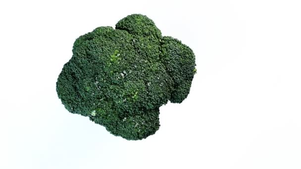 Brócoli verde de cerca Rotar. Nadie girando y girando aislado sobre fondo blanco suspendido en el aire. Verduras verdes frescas. — Vídeos de Stock