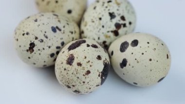 Çember şeklinde dönen taze bıldırcın yumurtaları, beyaz arkaplan ve metin için boşluk.