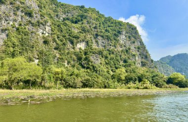 Dikey kireçtaşı kayalıkları yemyeşil bitki örtüsüyle kaplı. Antik gri kaya oluşumları ile ağaçların hayati yeşili arasındaki tezat Tam Coc - Bich Dong in the Trang An Manzara Kompleksi - Ninh Hai, Hoa
