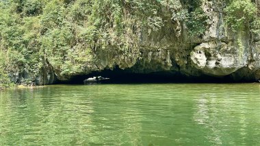 Tam Coc turizm bölgesindeki kireçtaşı mağarasının tavanından sarkan gizemli sarkıtlar. Milyonlarca yıl boyunca eşsiz şekillere sahip pürüzlü sarkıt oluşumlarının yakın çekimi. Tam Coc - Bich Dong, Ninh Binh, Vietnam 'da yakalandı,