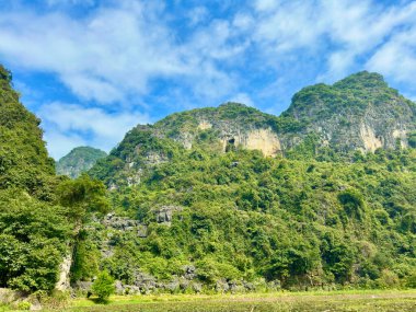 Meşhur Ninh Binh turizm merkezindeki mavi gökyüzünün altındaki güzel dikey kireçtaşı kayalıkları. Doğal oyukları ve zengin bitkileri olan dikey kireçtaşından uçurumların güzelliğine yakın çekim. Tam Coc - Bich Dong, Ninh Binh, Vietnam, Aralık