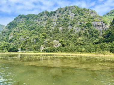 Tam Coc kireçtaşı dağlarının önünde nehir yüzeyine uzanan yemyeşil su bitkisi. Su ve yosun katmanları temiz suyun altında zengin bir ekosistem oluşturur..