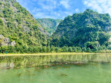 Ninh Binh Vietnam 'daki zümrüt yeşili nehir boyunca kıvrılan kireçtaşı karst dağlarının vahşi güzelliği. Yeşilliklerle kaplı sarp kayalıklar su yüzeyine yansıyan muhteşem bir doğal duvar oluşturur..