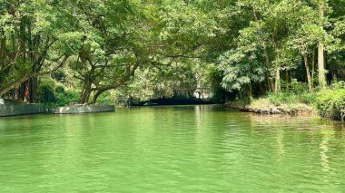 Tam Coc Bich Dong 'daki turkuaz su ve yemyeşil ormanın ortasındaki gizemli mağara girişi. Bereketli yeşil su, yoğun kireçtaşı dağlarının derinliklerinde bulunan karanlık bir mağara kemerine götürür..