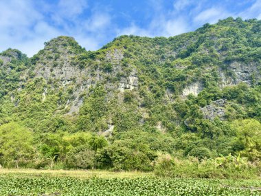 Kireçtaşı kayalıklarının engebeli güzelliği vahşi bitki örtüsünün canlı yeşiliyle harmanlanıyor. Kaya yüzeyindeki detaylar milyonlarca yıllık büyüleyici jeolojik oluşumun hikayesini anlatıyor. Tam Coc - Bich Dong, Ninh Binh, Vietnam