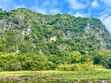 Sessiz ve huzurlu nehir yüzeyinin yanında yosun ve yemyeşil ile kaplı yüksek kireçtaşı kayalıklar. Yakın çekim, istiflenmiş kaya oluşumlarıyla jeolojik ihtişamı gösteriyor. Tam Coc - Bich Dong, Ninh Binh, Vietnam 10 Aralık 2025