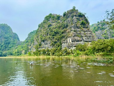 Mor nilüferlerle dolu bir gölün yanında duran kireçtaşı karistir yumuşak bulutlu bir gökyüzünün altında. Fotoğraf, kayalıkların engebeli güzelliğini ve su yüzeyindeki nilüferlerin yumuşaklığını vurguluyor. Tam Coc - Bich Dong