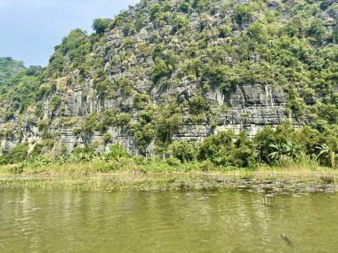 Ninh Binh Vietnam 'da büyüleyici jeolojik katmanları olan dikey kireçtaşı kayalıklar. Uçuruma yapışan çatlaklar ve bitki örtüsü ile gri kaya yüzeyine yakın plan harika bir doğal tablo oluşturur. Tam Coc - Bich Dong, Ninh Binh, Vietnam