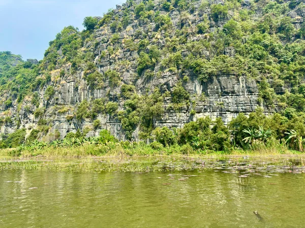 Ninh Binh Vietnam 'da büyüleyici jeolojik katmanları olan dikey kireçtaşı kayalıklar. Uçuruma yapışan çatlaklar ve bitki örtüsü ile gri kaya yüzeyine yakın plan harika bir doğal tablo oluşturur. Tam Coc - Bich Dong, Ninh Binh, Vietnam