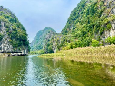 Ninh Binh 'in tarihi bölgesinde altın kamış tarlalarıyla büyüleyici bir nehir manzarası. Fotoğraf, kışın kamış yataklarının yanında kıvrılan, yemyeşil kireçtaşı dağlarının uzaktaki solgunluğunun çapraz görüntüsünü gösteriyor. Tam Coc - Bich Dong