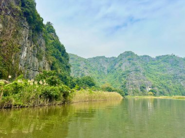 Tam Coc manzaralı bir yerde yemyeşil dağ sıralarına uzanan huzurlu bir nehir. Fotoğraf su yüzeyinden uzak dağlara doğru çekiliyor. Kıyıdaki altın kamışlarla muhteşem doğal manzarayı renklendiriyor.