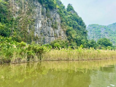 Tam Coc Ninh Binh 'in miras alanındaki sakin sular boyunca el değmemiş bitki örtüsü. Fotoğraf, suyun kenarında yetişen ve sanatsal olarak yıpranmış kireçtaşı kayalıklarıyla desteklenen çalılar ve yabani otlara odaklanıyor. Tam Coc - Bich Dong, Ninh Binh