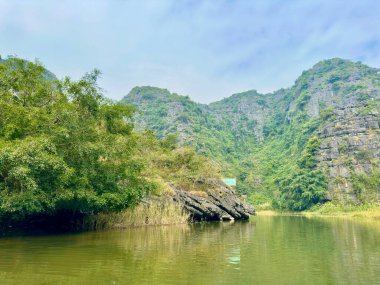 Su yüzeyine uzanan yemyeşil ağaçlar Ninh Binh 'in muhteşem kireçtaşı kayalıklarının yanında. Fotoğraf, yeşil yapraklar ve kayaların gri renkleriyle uyumlu bir doğal anı yakalıyor. Tam Coc - Bich Dong