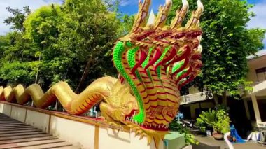 Ejderha merdivenlerinin görkemli güzelliğine ve Büyük Buda Tapınağı Pattaya 'daki Altın Buda heykeline hayranım. Video, 18 metre yüksekliğindeki dev Buda heykeline kadar uzanan yedi başlı parlak Naga ejderhalarıyla merdivenlerin panoramasını çekiyor.