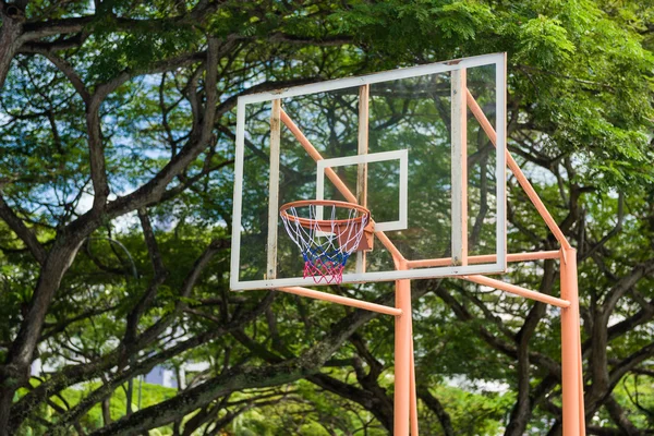 Pallacanestro e cerchio — Foto Stock