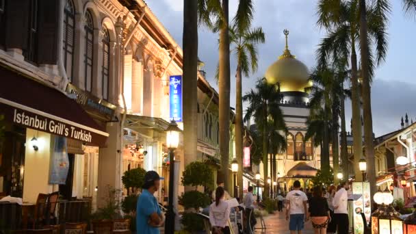 Tourists along Arab Street — Stock Video