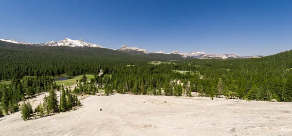 Panorama vista de Lembert Dome — Fotografia de Stock