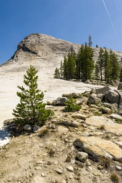 Climbing up Lembert Dome — Stock Photo, Image