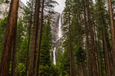 The Yosemite Falls clipart