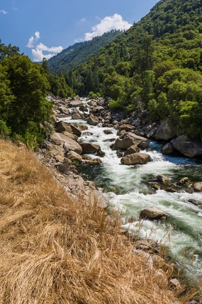 Rivière Écoulement Rapide Dans Parc National Yosemite — Photo