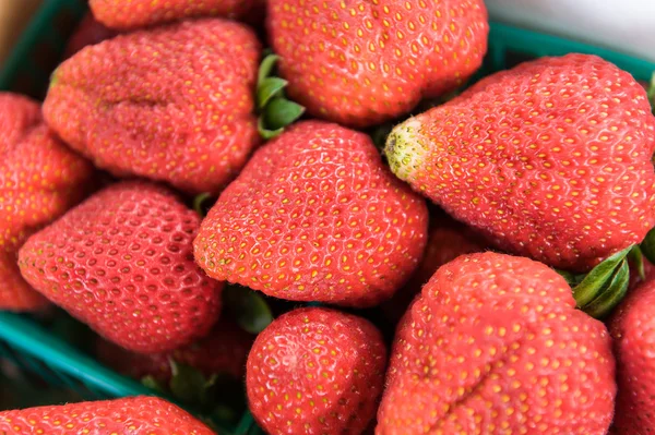 Big fresh strawberries — Stock Photo, Image