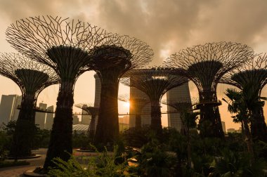 Bay, Singapur bahçelerle gün batımında