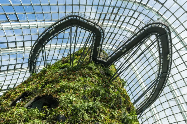 Interior da Floresta Nuvem, Jardins perto da Baía, Singapura — Fotografia de Stock