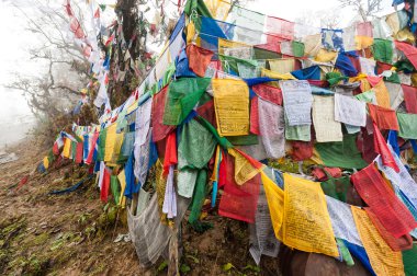 Pelela Pass, Bhutan, renkli dua bayrakları