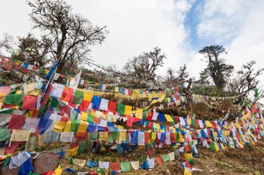 Pelela Pass, Bhutan, renkli dua bayrakları