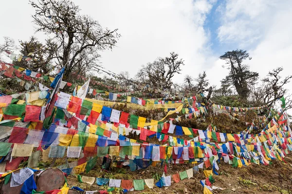 Barevné modlitební vlaječky na Pelela Pass, Bhútán — Stock fotografie
