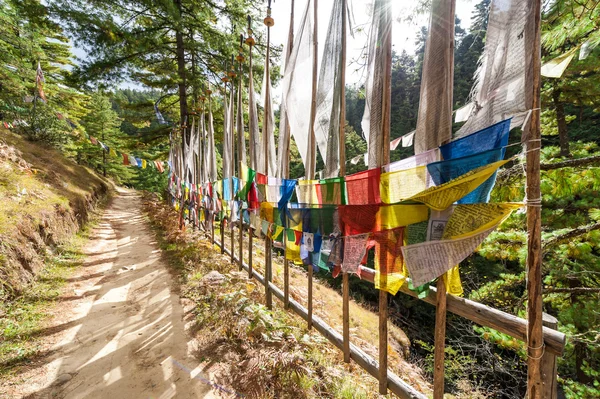 五颜六色的祈祷旗沿着泥土轨道 — 图库照片