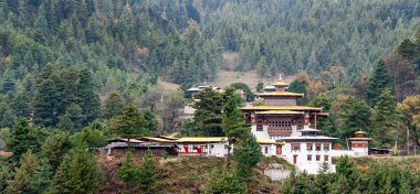 Benzersiz yerel mimari tasarım