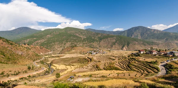 Kırsal ve Butan tarım arazisi — Stok fotoğraf